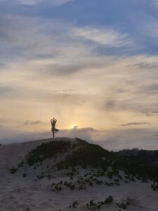 Living Delish - peace on earth